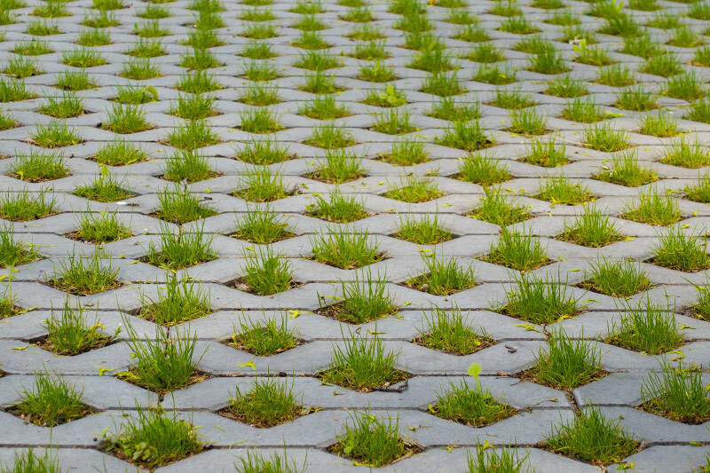 Grastegels 800px